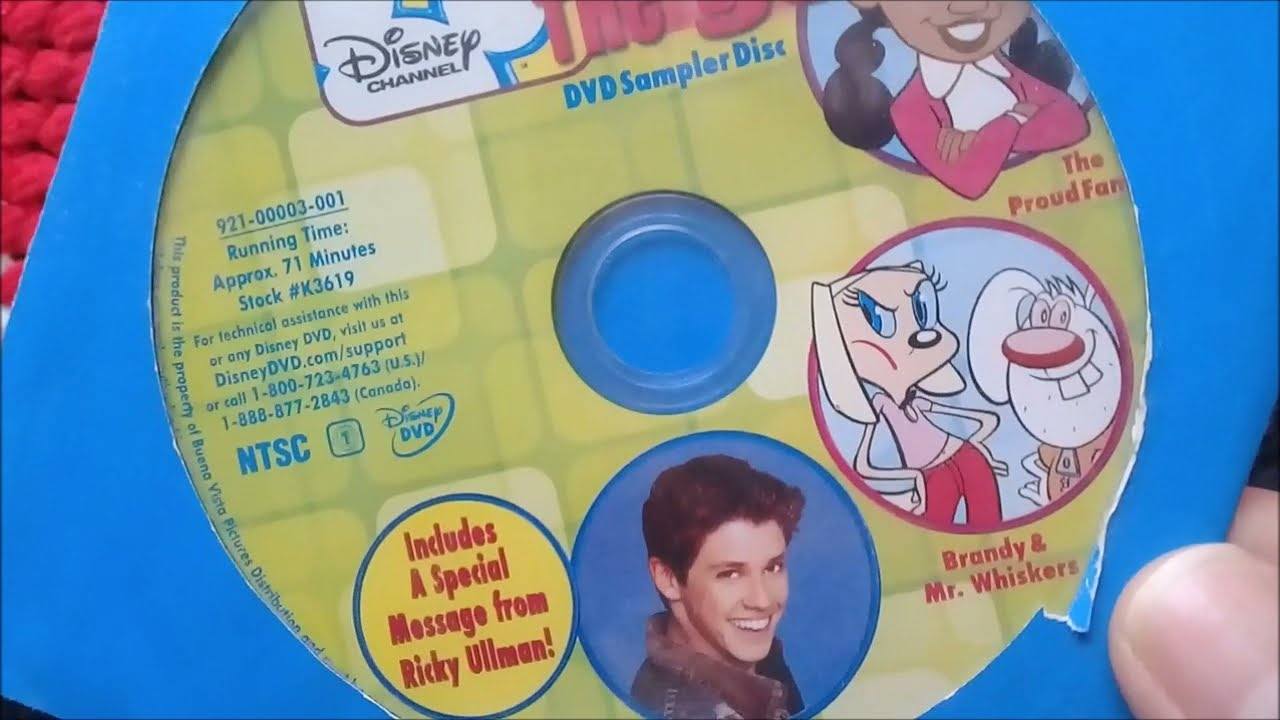 Disney Channel Shows on the go Rare DVD With Brandy & Mr Wiskers