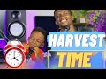 Harvest Time, Live Performance with Fayez and Michael Bundi