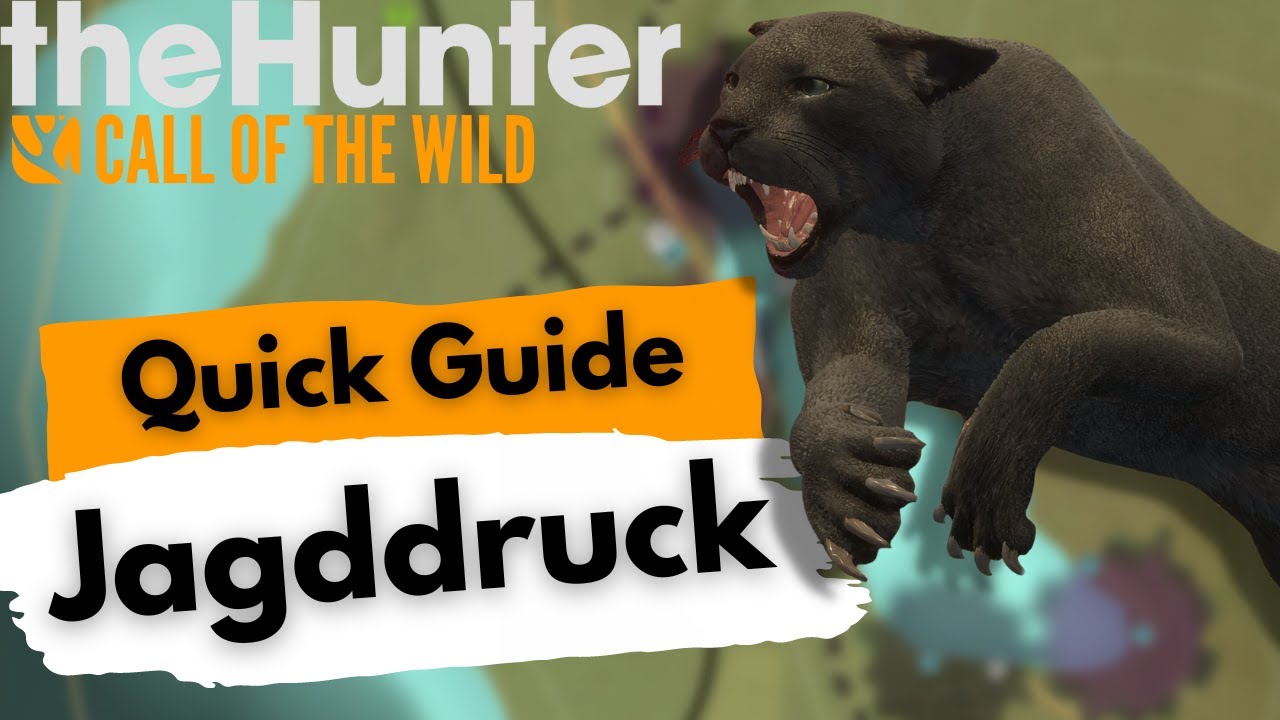ALLES was du über Jagddruck wissen musst! the Hunter Call of the Wild Deutsch YouTube