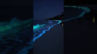 Bioluminescent waves under the stars🌊🩵💙#beach #calm #waves