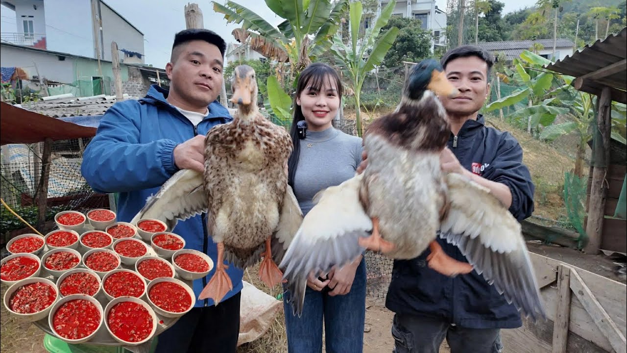 Cùng team Nhịp Sống Tây Bắc làm món tiết canh vịt úp ngược, vịt nướng thơm phức.