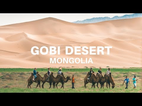 What Does The Gobi Desert Landscape Look Like?