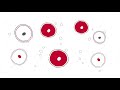 Stem Cell Transplantation and Its Role in Treating Blood Cancers