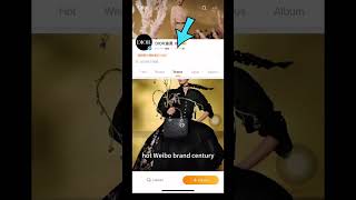 HOW TO FIND USER OR POST ON WEIBO?