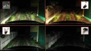 ЧАСТЬ 6.2: LED ФАРЫ - светодиоды против галогенок | PART 6.2: LED FOG LIGHTS - LED vs Halogen ЧАСТЬ 6.2: LED ФАРЫ - светодиоды против галогенок | PART 6.2: LED FOG LIGHTS - LED vs Halogen