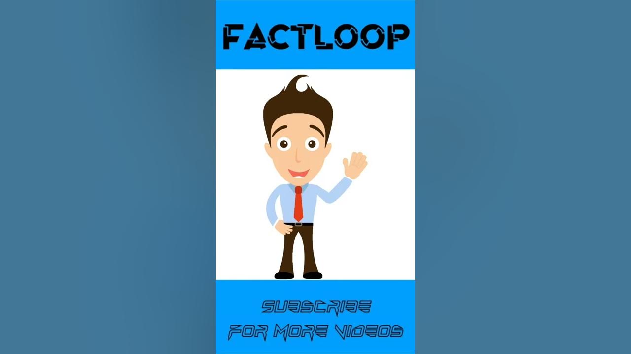 Why do clothes appear darker when wet? FactLoop Random facts 