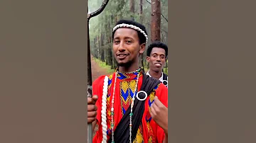 Lencho Gemechu Saglii New Ethiopian Oromo Music 