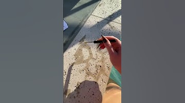 guess the celebrity i’m thinking of asmr game #asmrgame #asmr #fyp #oddlysatisfying