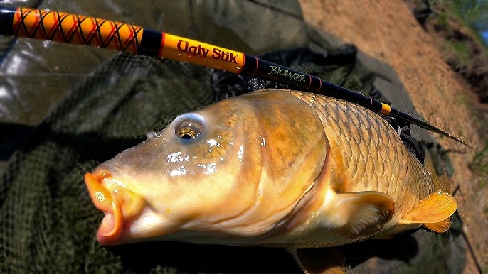 UGLY STIK BIG WATER Rod - WATCH THIS before buying!