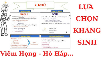 Kháng sinh theo kinh nghiệm | Tổng hợp P1 | Dược Lý Video 6 | Y Dược TV
