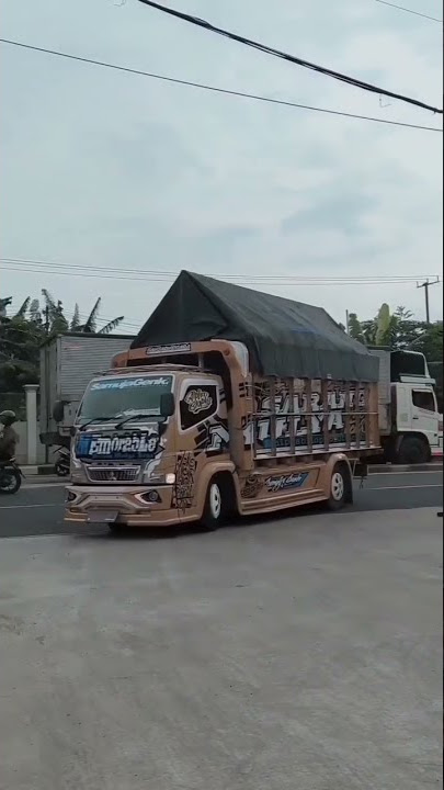 viral story wa truck oleng 30 detik II