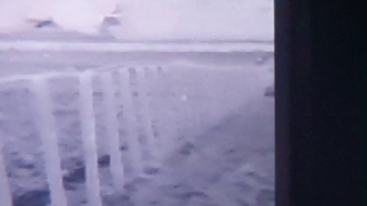 E2n thermal rabbits 200 yards filmed through phone YouTube