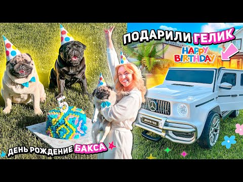 ПОДАРИЛИ ГЕЛИК НА ДЕНЬ РОЖДЕНИЕ..БАКСУ 5 ЛЕТ! делаем фотки как в PINTEREST!  birthday vlog 