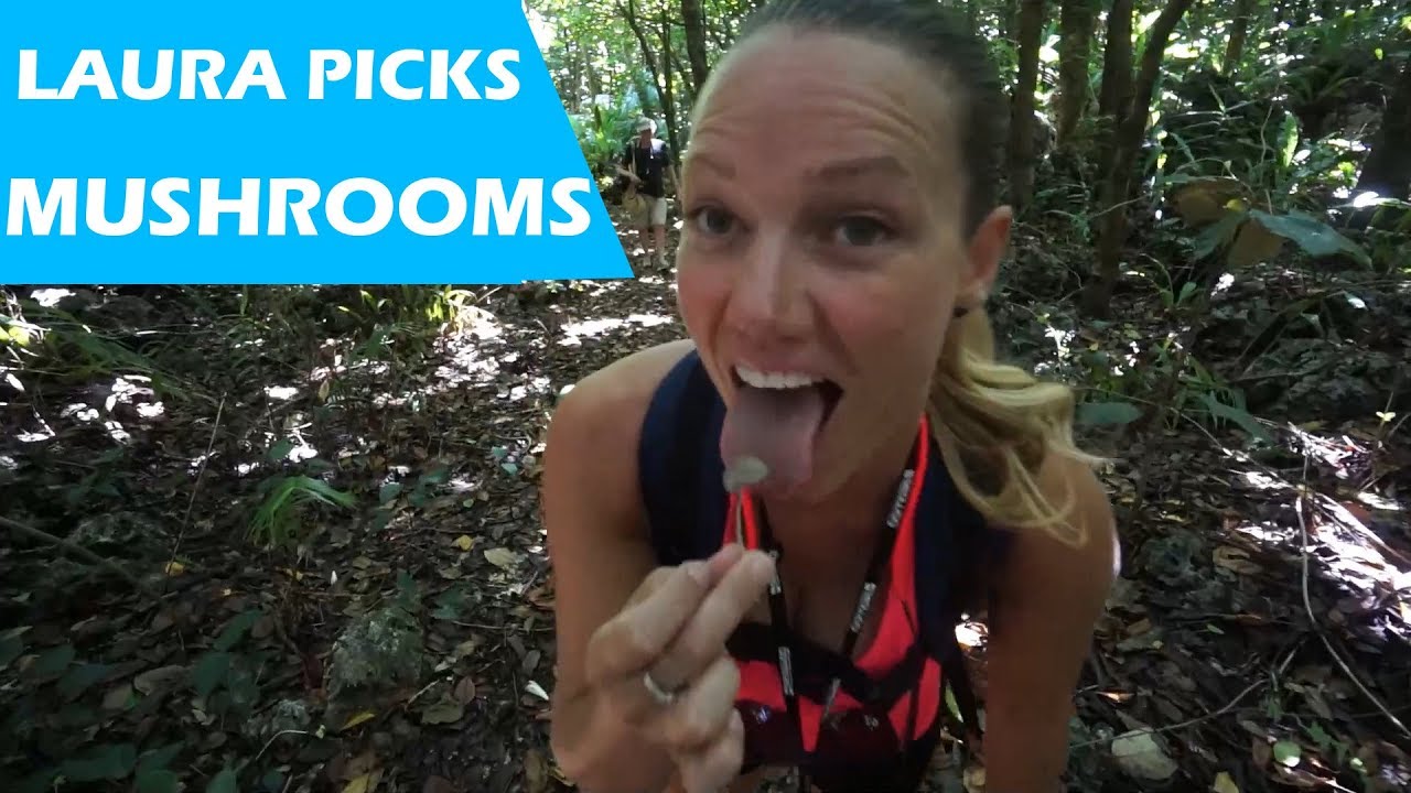 Laura Picks Random Mushrooms! – S2:E58