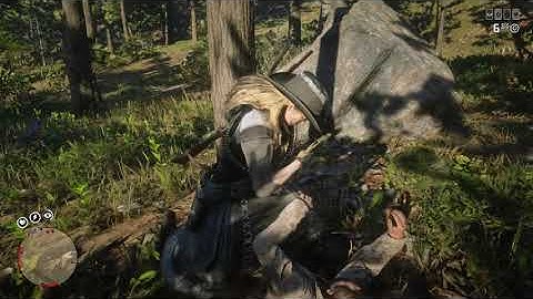 Red Dead Online (PC) - Hacker C_RING84