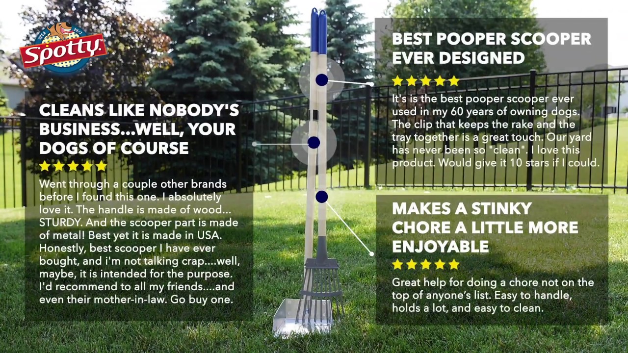 Spotty™ Metal Tray & Rake - Long Version