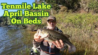 April Bass on Beds at Tenmile Lake Oregon KAYAK SPRINGTIME BASSIN