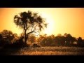 okavango14: Early Morning Golden Okavango Experience…