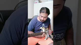 Metal solo #guitar #guitarsolo #fy #rock #anos80 #guitarrista #metal #music #improviso #fyu