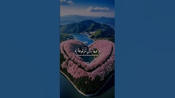 في جنة عالية القارئ عبدالرحمن مسعد // اكتب شي تؤجر عليه ❤🎧