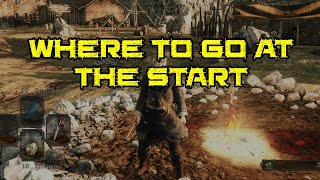 Where To Go At The Start Of The Game From Majula - Dark Souls 2 SOTFS
