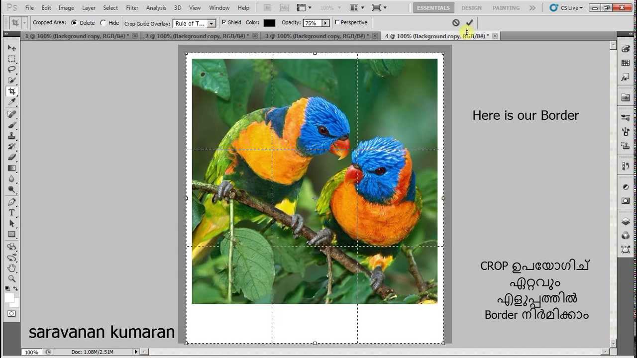 How To Make Border In Photoshop 4 Easy Ways English Malayalam YouTube
