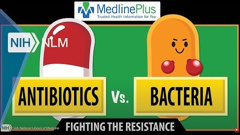 Antibiotics vs. Bacteria: Fighting the Resistance