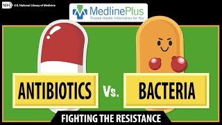 Antibiotics vs. Bacteria: Fighting the Resistance