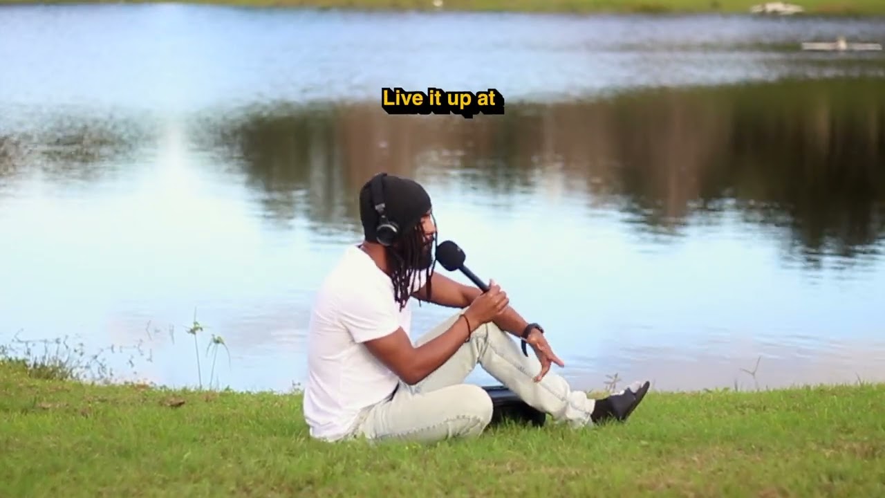 SHAH33D- Up and Down