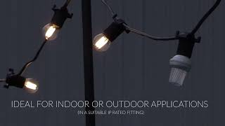 Prolite 3W LED SMD Strobe Lamp screenshot 4