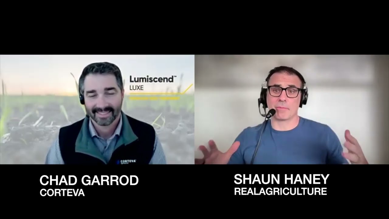 ВНИМАНИЕ: Пять важных моментов о защите зерновых культур от болезней в начале сезона.