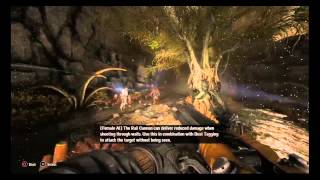 Evolve support guide