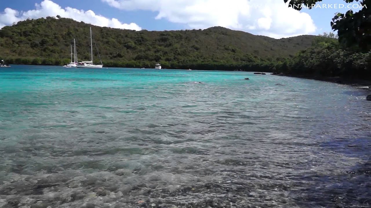 Leinster Bay in Virgin Islands National Park (1080p)