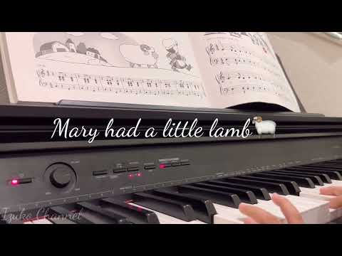 🎹Piano Lesson-Mary had a little lamb🐏🎼