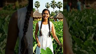 AI short videos #viralshorts #views