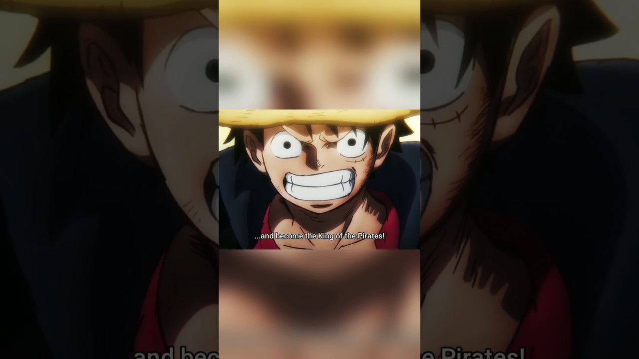 He is Monkey D. Luffy 
