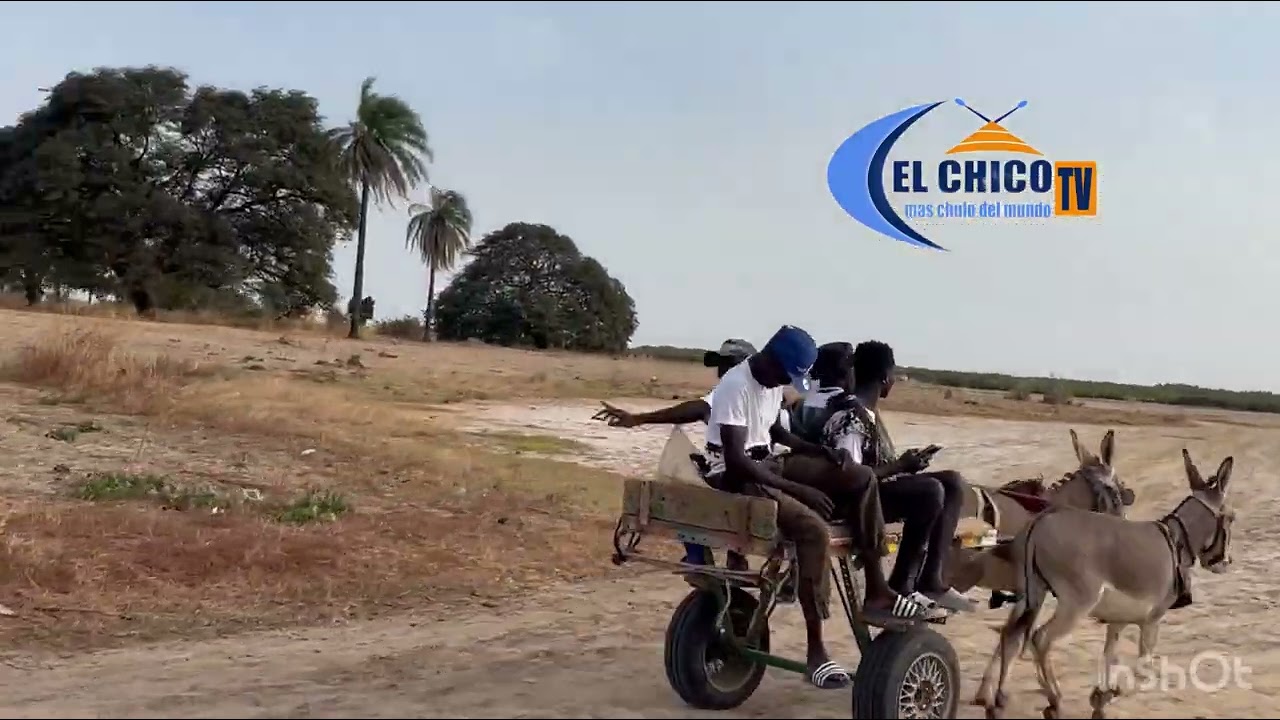 Tout droit siwo avec Sékou forage Mafia mbam le17/01/2026