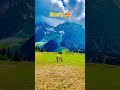 Beauty of earth #viral #trending #trendingshorts #tiktok #travel