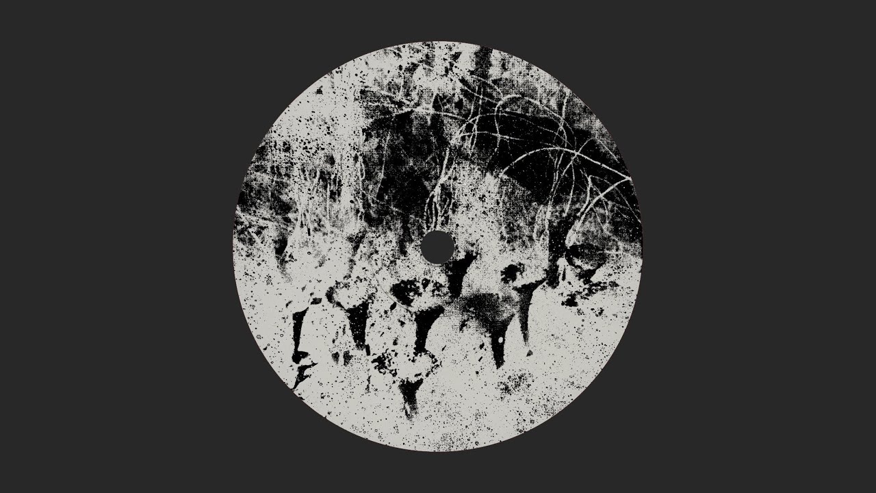 OM UNIT + TM404 - In The Afterworld レコード通販 JUNGLEEXOTICA