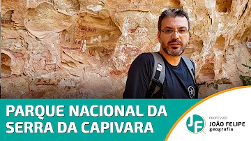 Por que o Parque Nacional da Serra da Capivara pode ser considerado um patrimônio histórico Qual é a importância de sua preservação?
