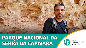 Qual é a vegetação do Parque Nacional da Serra da Capivara?