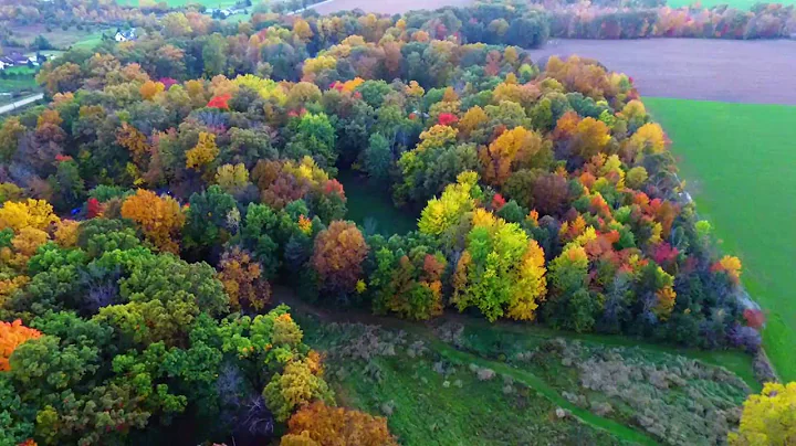 Drone Video Fall Colors Michigan 2016