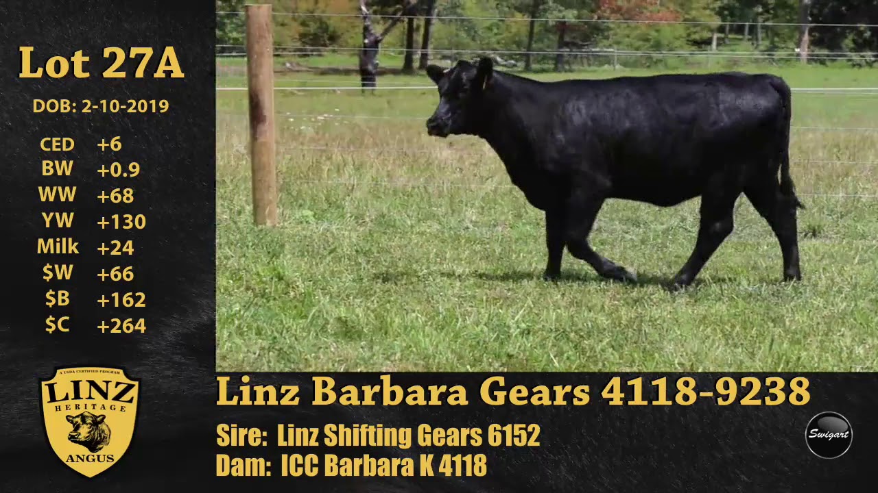 upload image Linz Lot 27A Linz Barbara Gears 4118-9238