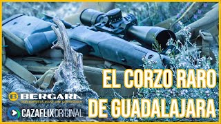 ✅ EL CORZO RARO DE GUADALAJARA con RAFA CARRILLO y el rifle BERGARA B14 WILDERNESS Thumbhole Carbon