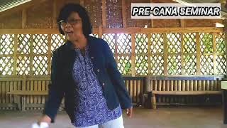 Precana Seminarintroduction