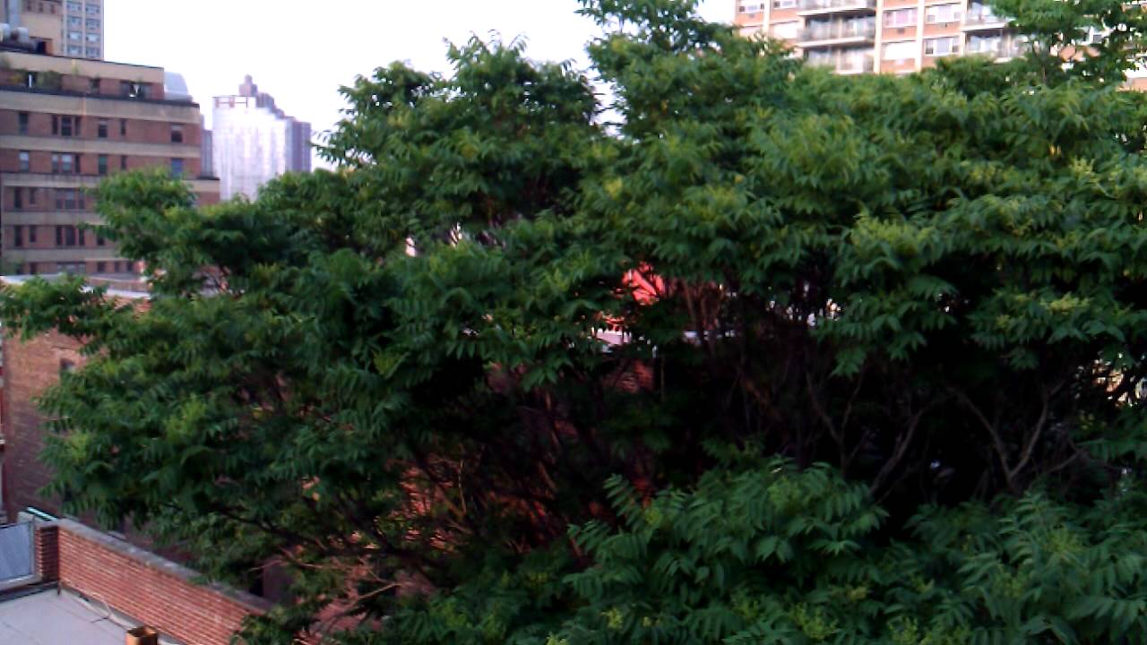 HTC HD7S Sample Clip