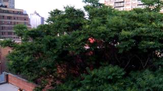 HTC HD7S Sample Clip
