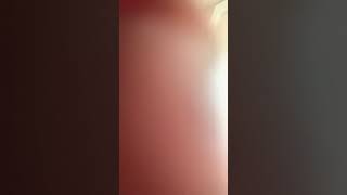 ١٩ أكتوبر ٢٠٢٤ Profile