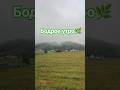 Бодрое утро🌳⛰️#shorts #утро #деревня #природа #горы #тишина #спокойствие #morning#nature #mountains