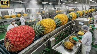 Inside a Del Monte Pineapple CanneryFrom Farm Harvest to Shelf-Ready Canned Pineapple (Full Process)